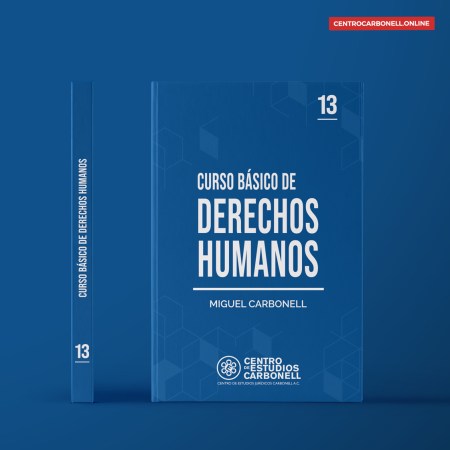 Curso Básico de Derechos Humanos Curso Básico de Derechos Humanos