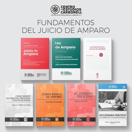 Paquete Fundamentos del Juicio de Amparo