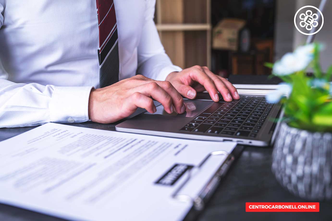 Una persona con camisa blanca y corbata, utilizando un laptop, mientras revisa documentos sobre una mesa con una planta en maceta.
