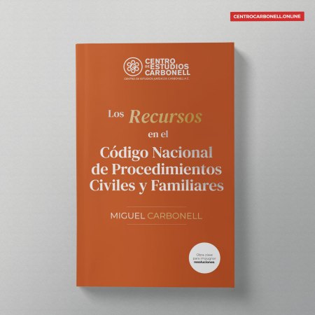 Los Recursos en el CNPCyF